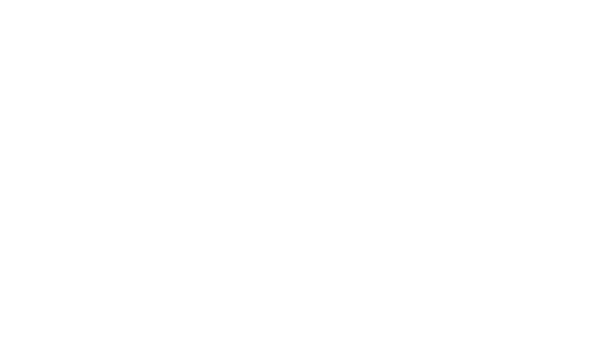 Logo Performance 365